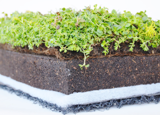 Green-Roof-Plant-Tray_09